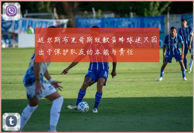 迈尔斯布里奇斯致歉黄蜂球迷只因出于保护队友的本能与责任
